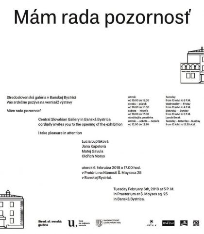 vystava1