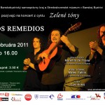 plagat-zelene-tony-februar-2011