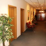 msu1