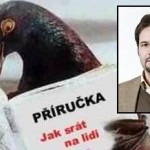 prirucka-pre-holuby