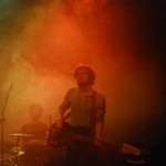 plastic_swans_polana