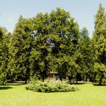 mestsky-park11