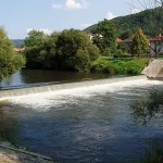 salkova2