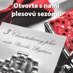 3-charitativny-mestsky-ples