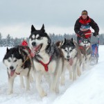 husky skola