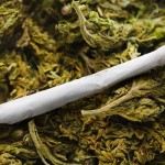 marihuana