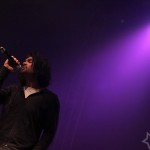 desmod (6)