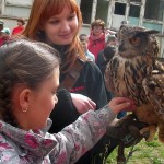 KONICA MINOLTA DIGITAL CAMERA