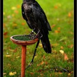 62704_1423962040559_1277992293_31022316_7900354_n