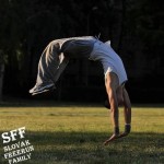 SFF - Dingo2