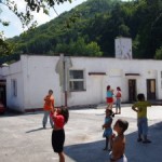 kotva