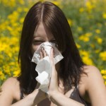local-honey-for-allergy-1