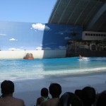 ocean dome 3