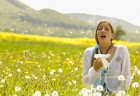 pollen