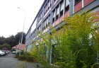 slovenka2