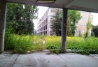 slovenka4