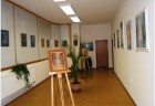 vystava cikova