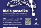 plagat biela pastelka