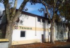 tenisia2