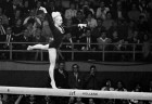 zlata vera caslavska3