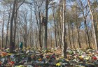 20140311_100543