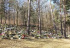 20140311_101039
