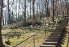 20140311_101058