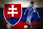hamsik2