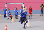 Hamsik_Handzus (1)