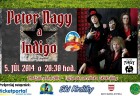 fest peter nagy