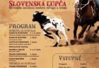 Rodeo Slovenska Lupca
