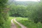 6.-Pokračujeme-lesnou-cestou-1024x768
