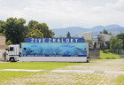 živé žraloky (1)