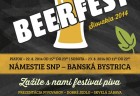 plagat beerfest bb