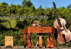 cendes orchestra2
