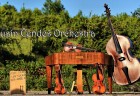 cendes orchestra2
