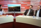 kralik a saktor1
