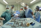 transplantacia pecene1