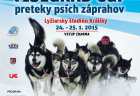 Kraliky2015 plagat