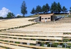 amfiteater