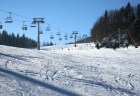 kraliky (1)