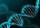 molekuly dna