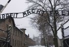 holokaust2