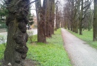 mestsky park3