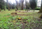 mestsky park5