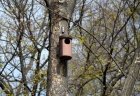 mestsky park7