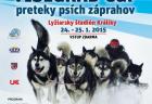 plagat psie zaprahy