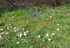 pocasie3 (11)