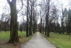 pocasie4 (5)