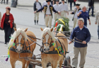 maj na namesti5